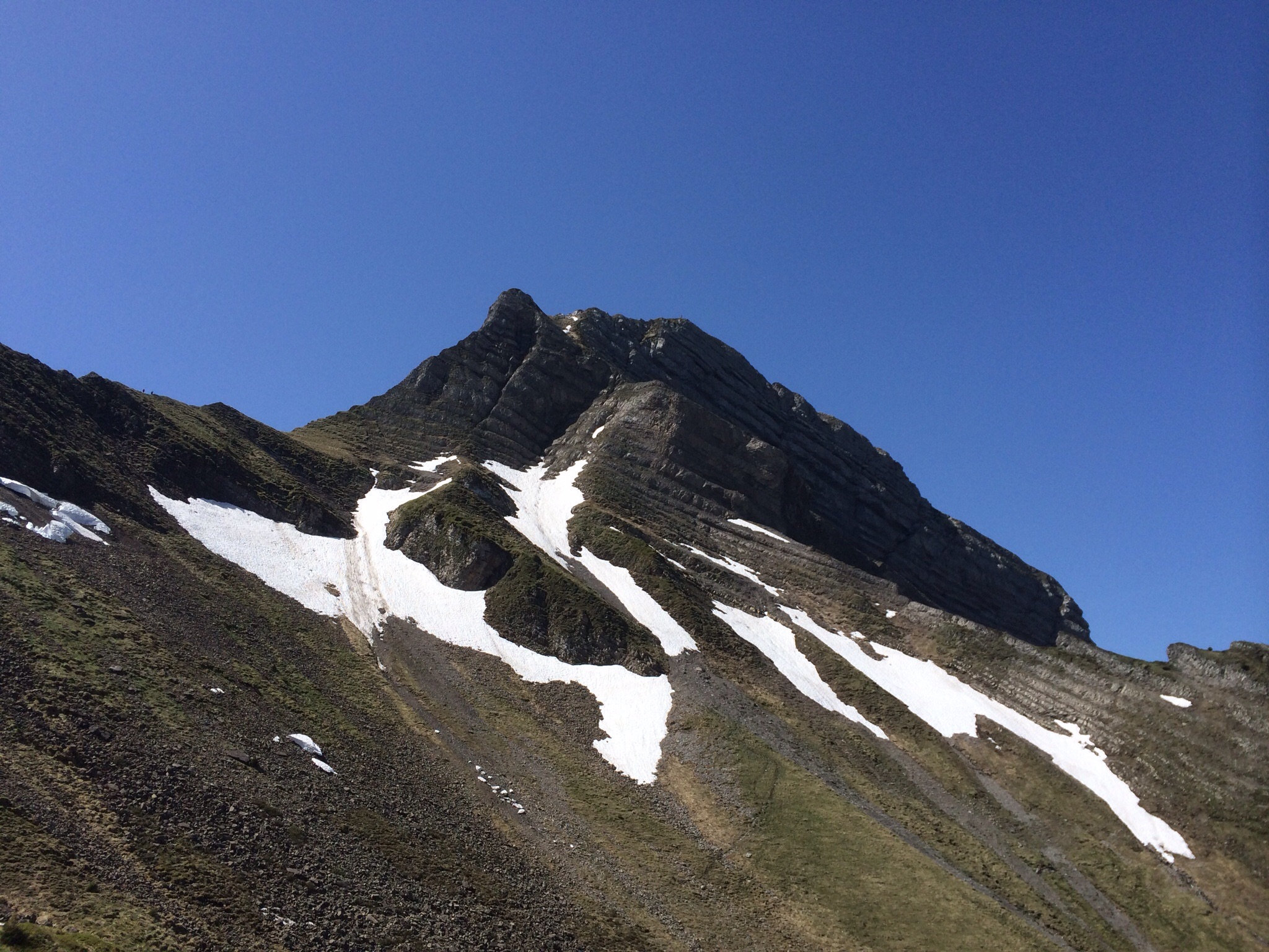 Nochmals, weil er hier nochmals so anders aussieht....