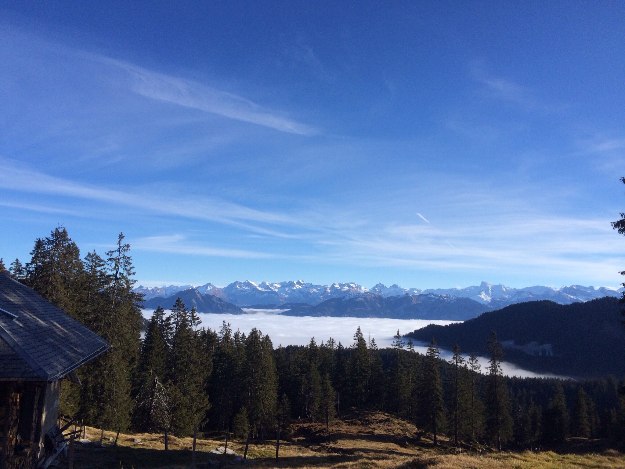 Knapp über dem Nebel beginnt die Freude