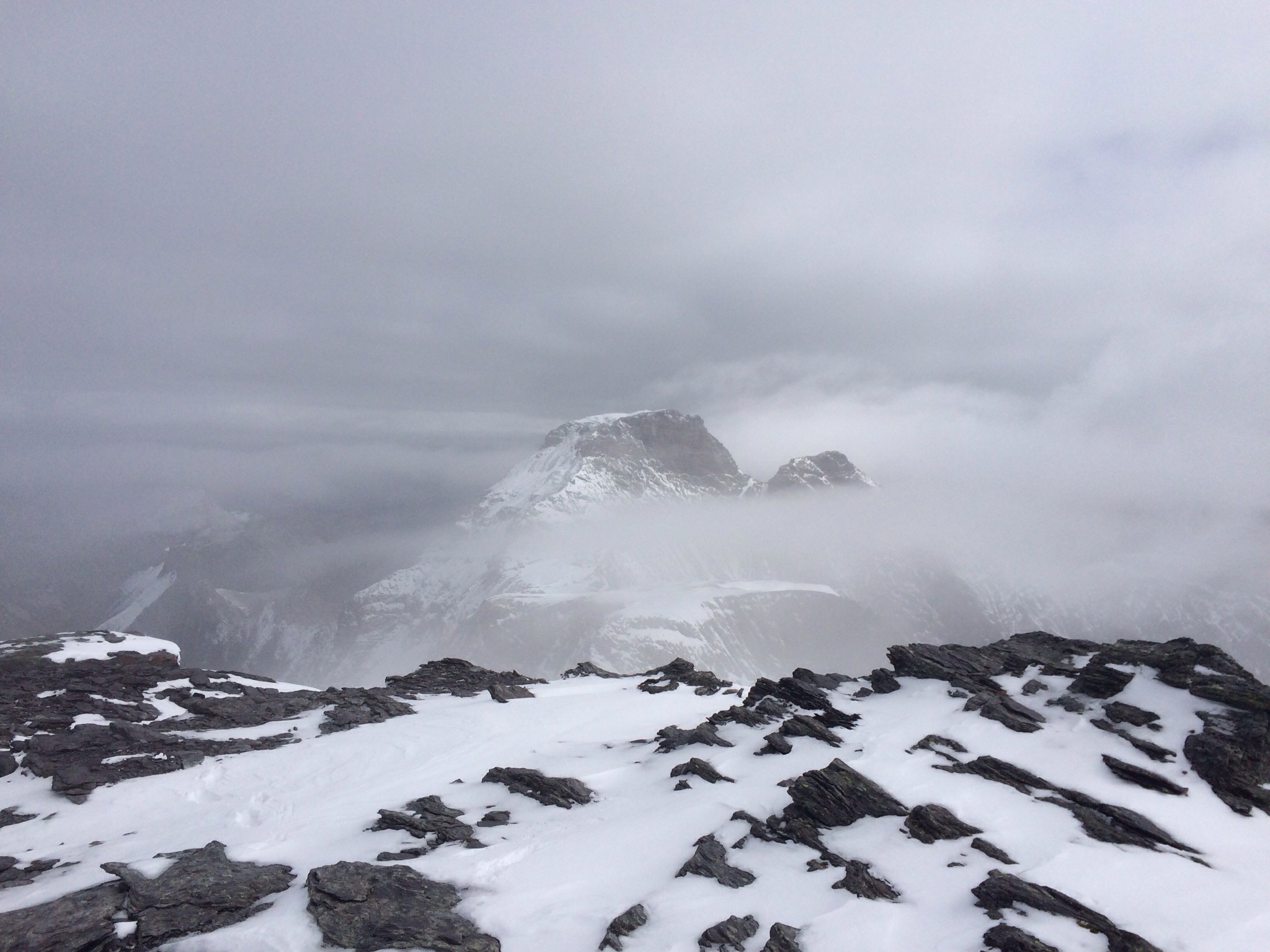 Wenigstens zeigt sich uns der Hausstock kurz auf dem Ruchi