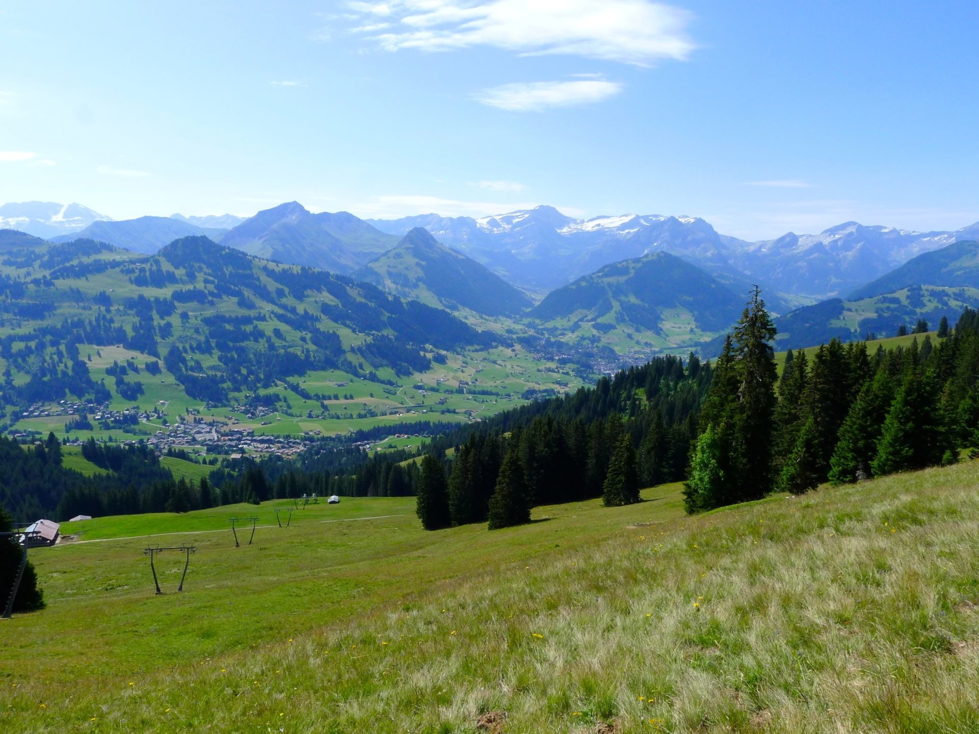 35646823611_f31d2305e1_o