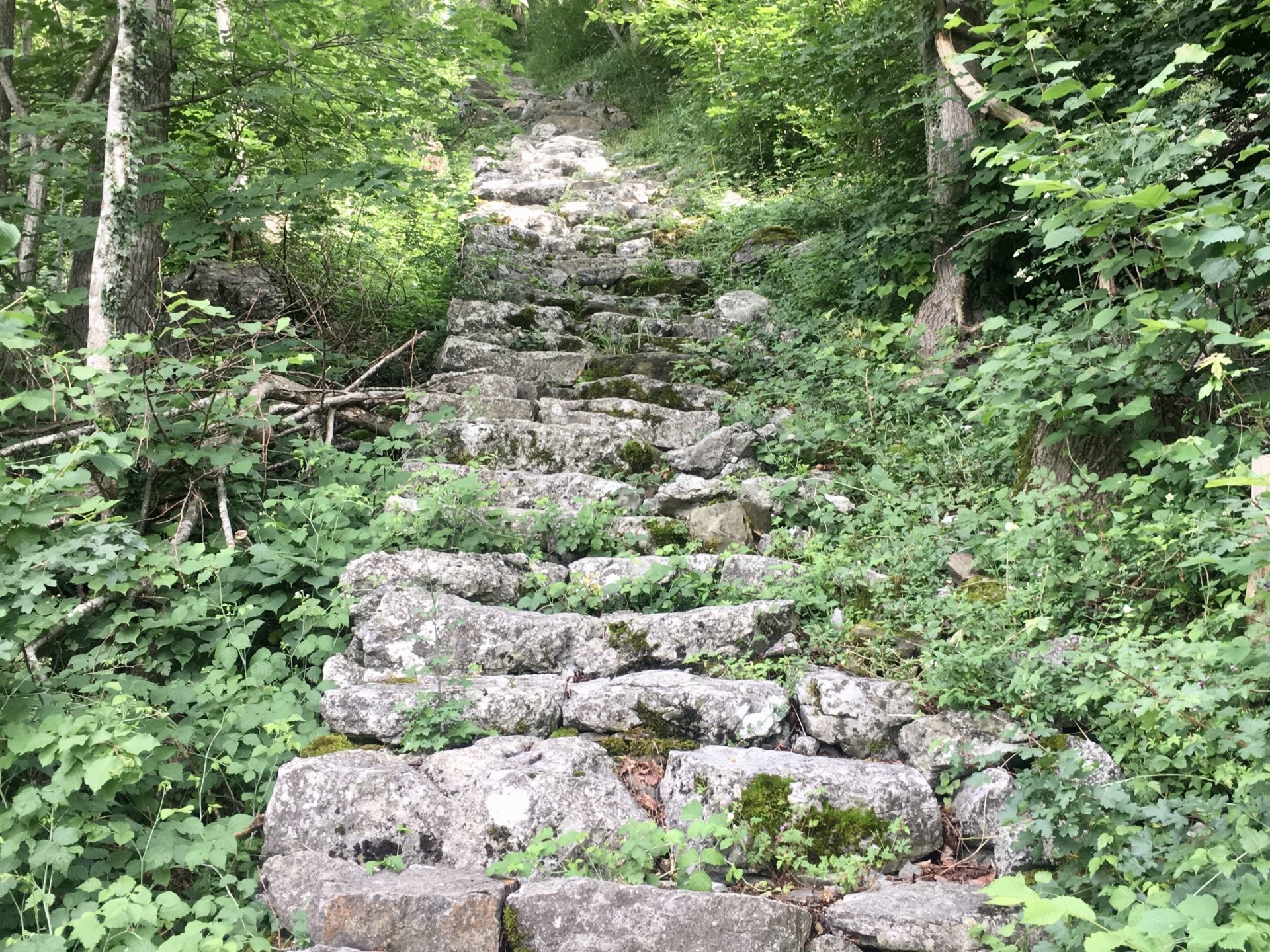 D53AE884-A189-4339-83F7-8E1E7DE6F313