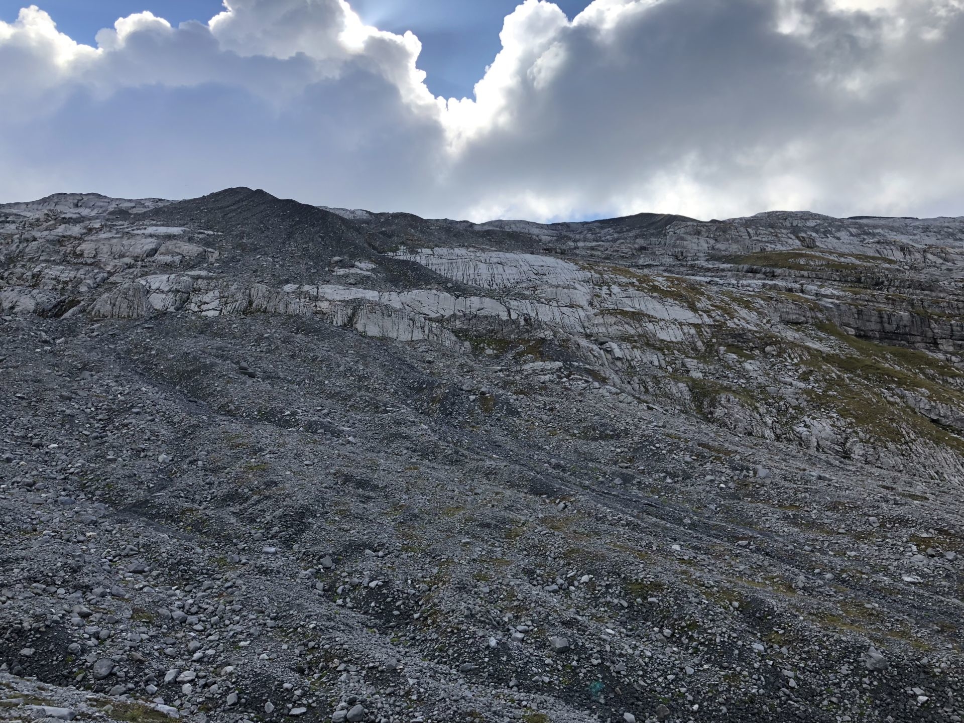 B28FE169-6CF2-417A-BD54-618E53F63411